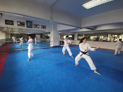Executive Martial Arts Centre thumb 2